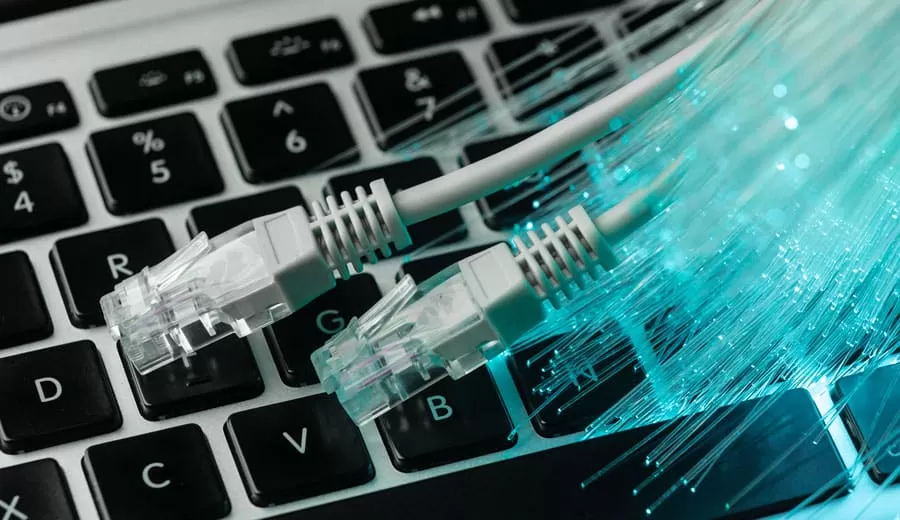 FIBRE-IMG
